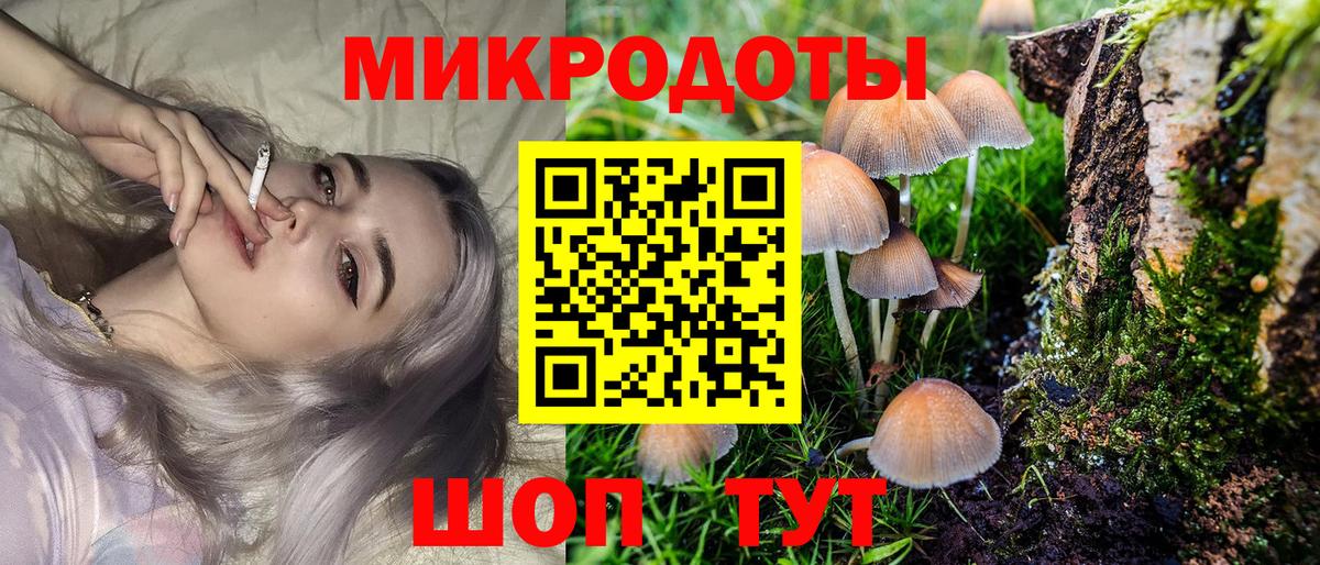 Кольчугино  цена   Вход с VPN  Псилоцибиновые грибы Cubensis 