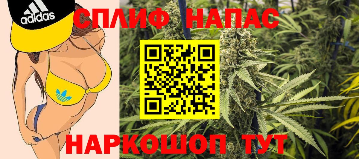 Марихуана план Кольчугино